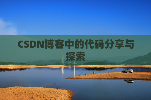 CSDN博客中的代码分享与探索